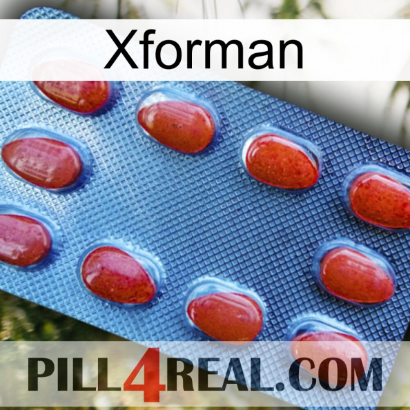 Xforman 06.jpg